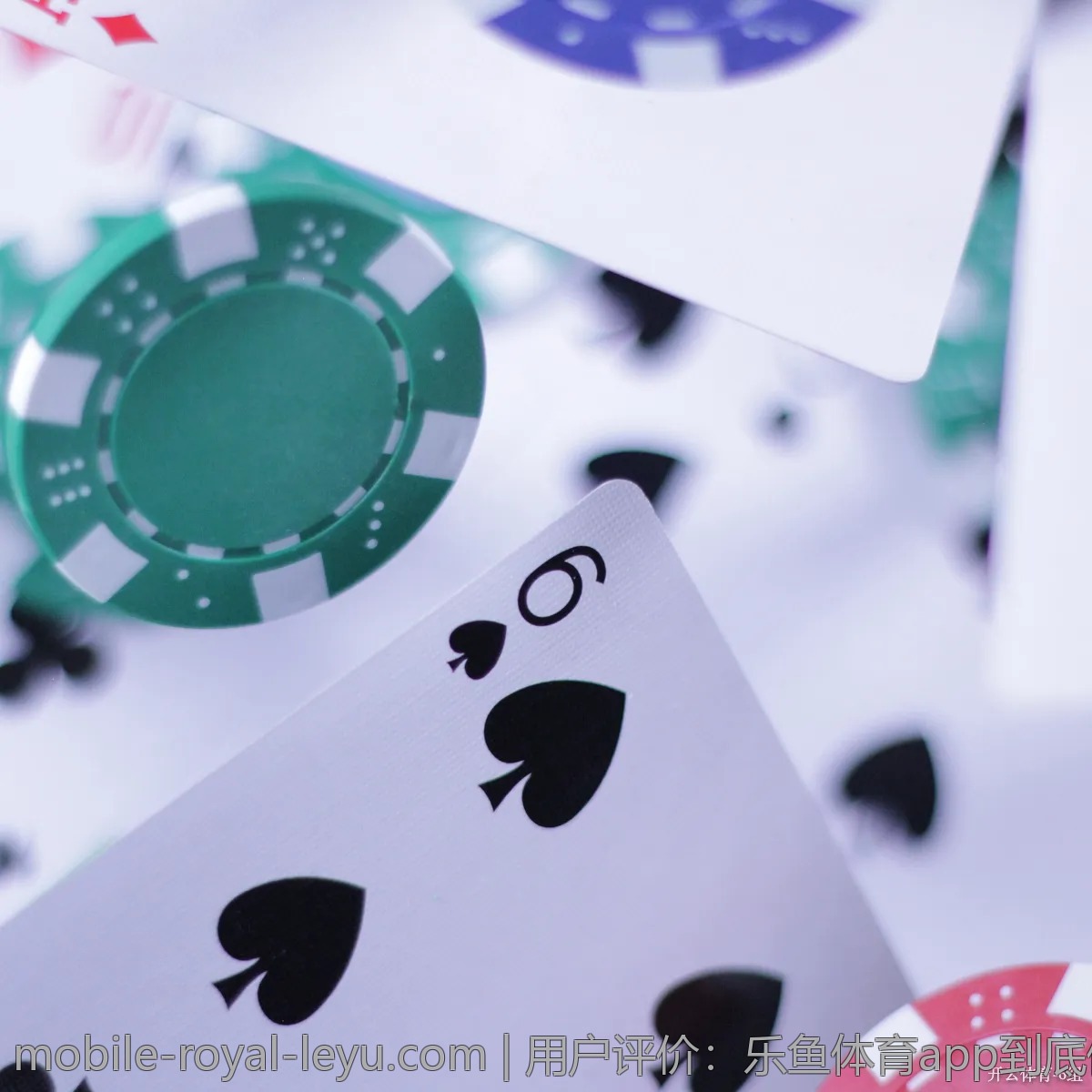 用户评价：乐鱼体育app到底值不值得使用？