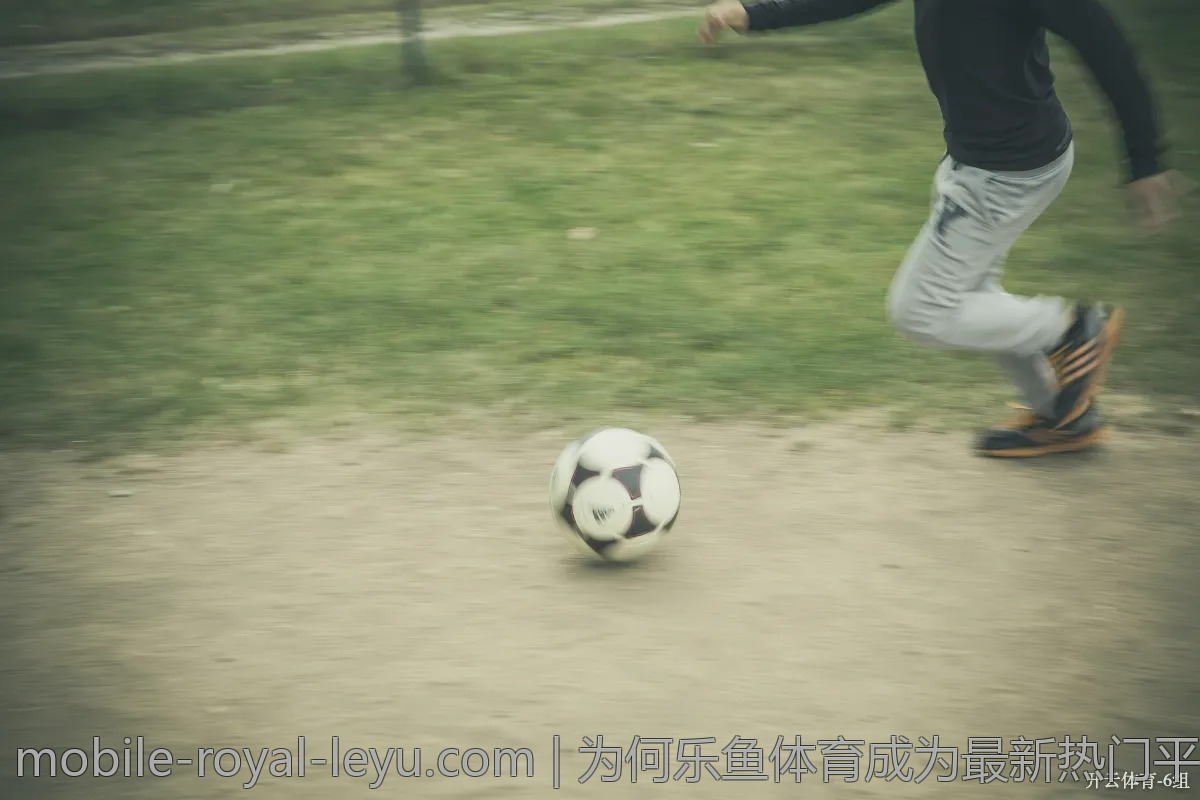 为何乐鱼体育成为最新热门平台，内幕分析