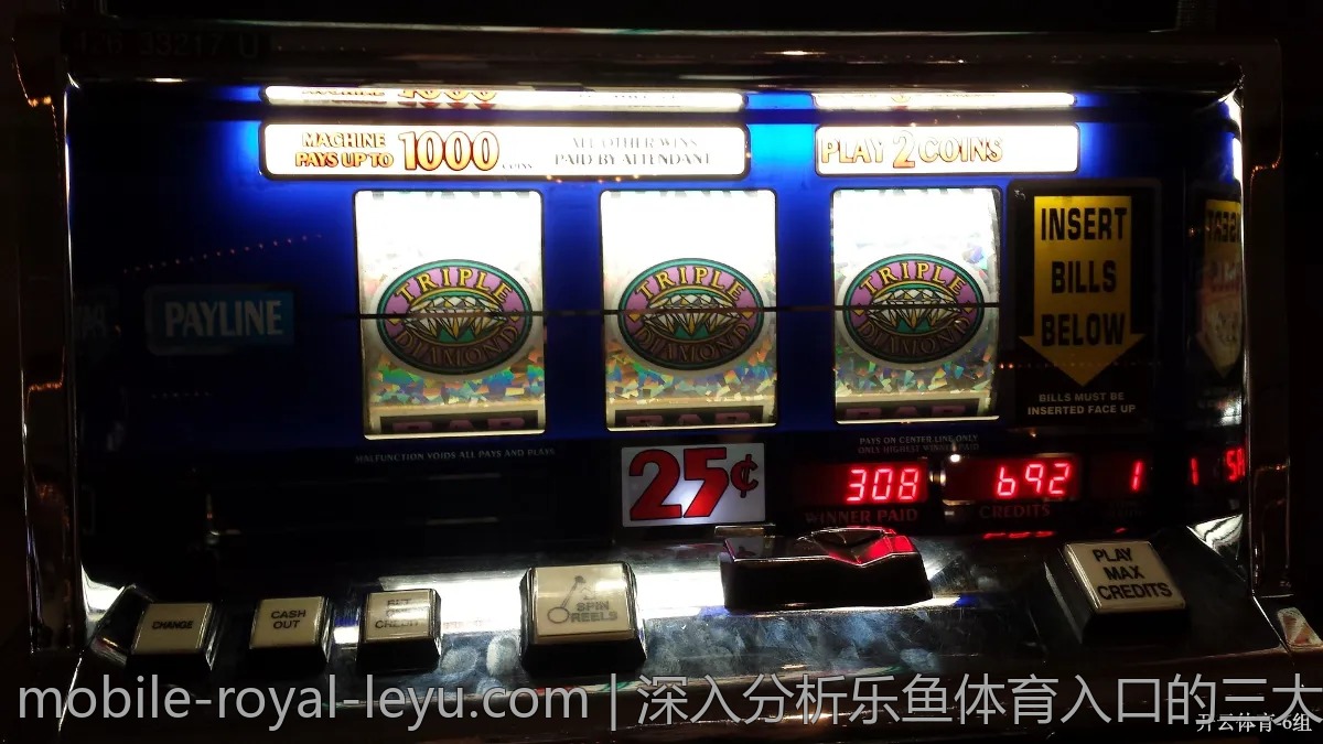 深入分析乐鱼体育入口的三大特点